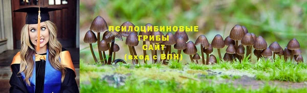 стафф Армянск