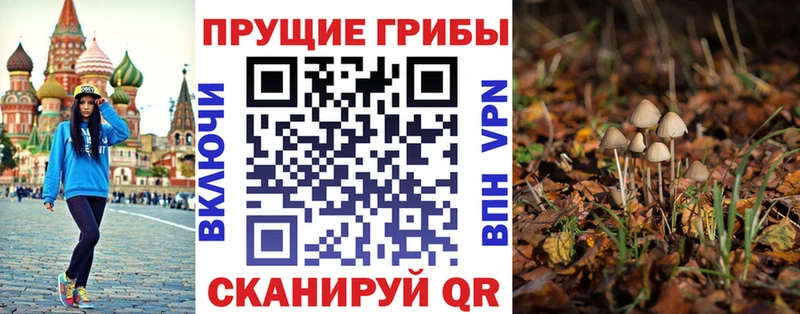 Псилоцибиновые грибы MAGIC MUSHROOMS  кракен зеркало  Рошаль 
